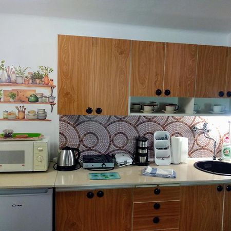 זנוימו Pension Archa מראה חיצוני תמונה